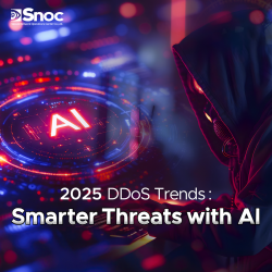 2025 DDoS Trends